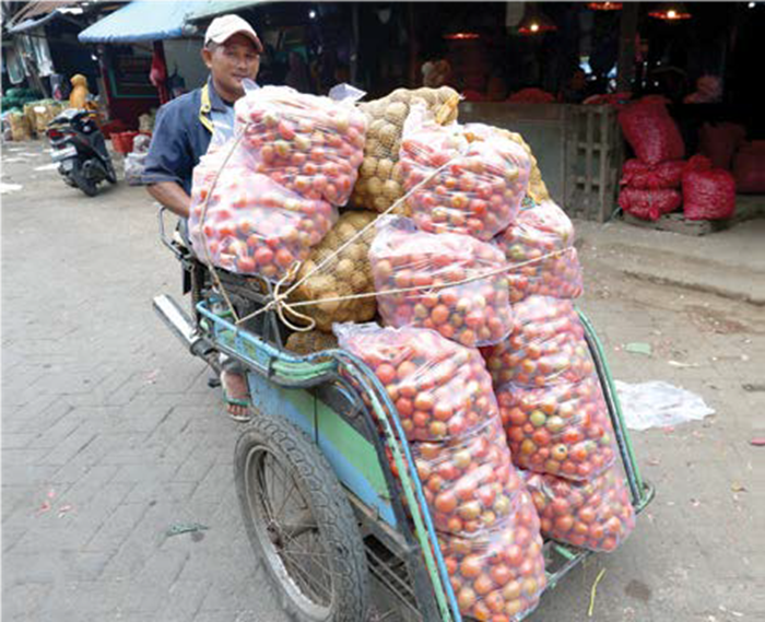 STOK MENIPIS: Salah satu pedagang mengangkut stok tomat ke Pasar Gadang, kemarin (7/7). Harga tomat diketahui tengah melambung.