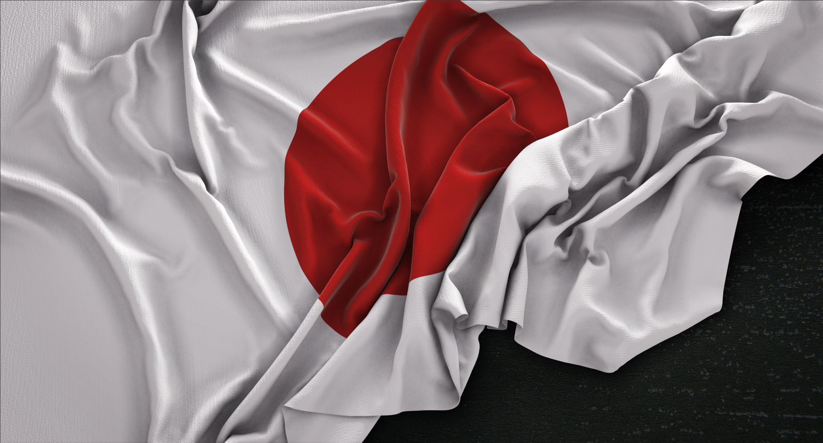 BELAJAR: Indonesia dan Jepang sering bekerja sama dalam bidang sumber daya manusianya.