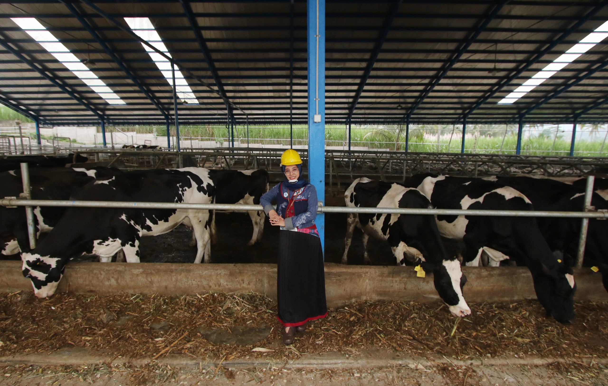 SUKSES: Perjalanan Eva Marliyanti, Dari Pakan Sapi Ke Presdir Koperasi Agro Niaga (KAN) Jabung.