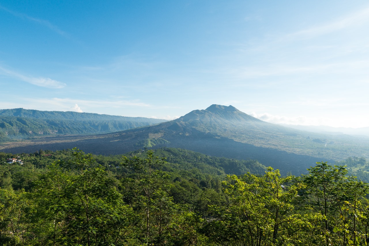 Dari bersepeda di tengah sawah hingga belajar bertani, Pujon Kidul di Malang tawarkan ragam aktivitas seru yang cocok untuk liburan keluarga maupun rombongan sekolah.