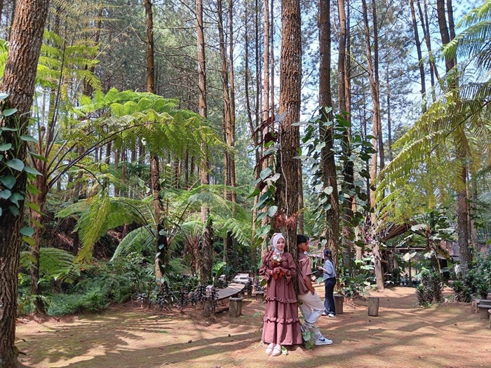 DESTINASI: Pengunjung menikmati kesejukan udara di Alas Pakis, Desa Sumbersuko, Kecamatan Wagir kemarin.
