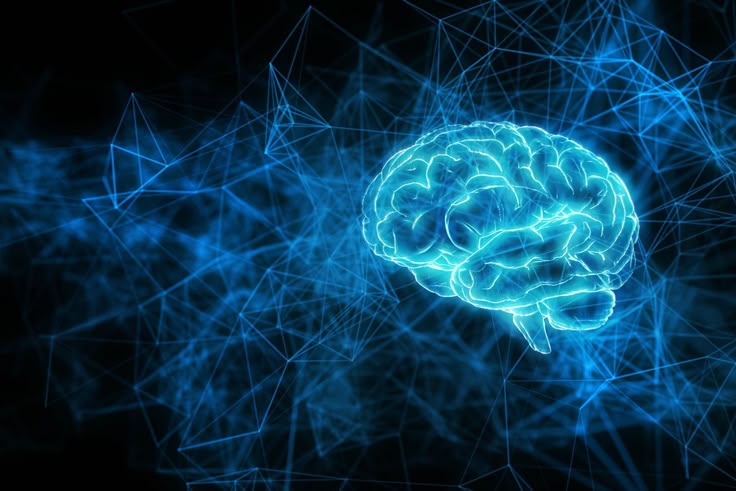 Program pembelajaran mendalam atau deep learning mulai diterapkan secara bertahap sejak tahun ajaran 2025/2026.