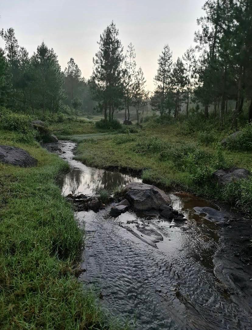 Pemandangan Gunung Semeru dari Camping Ground Sarkawi jadi daya tarik utama bagi pencinta alam dan pendaki pemula.