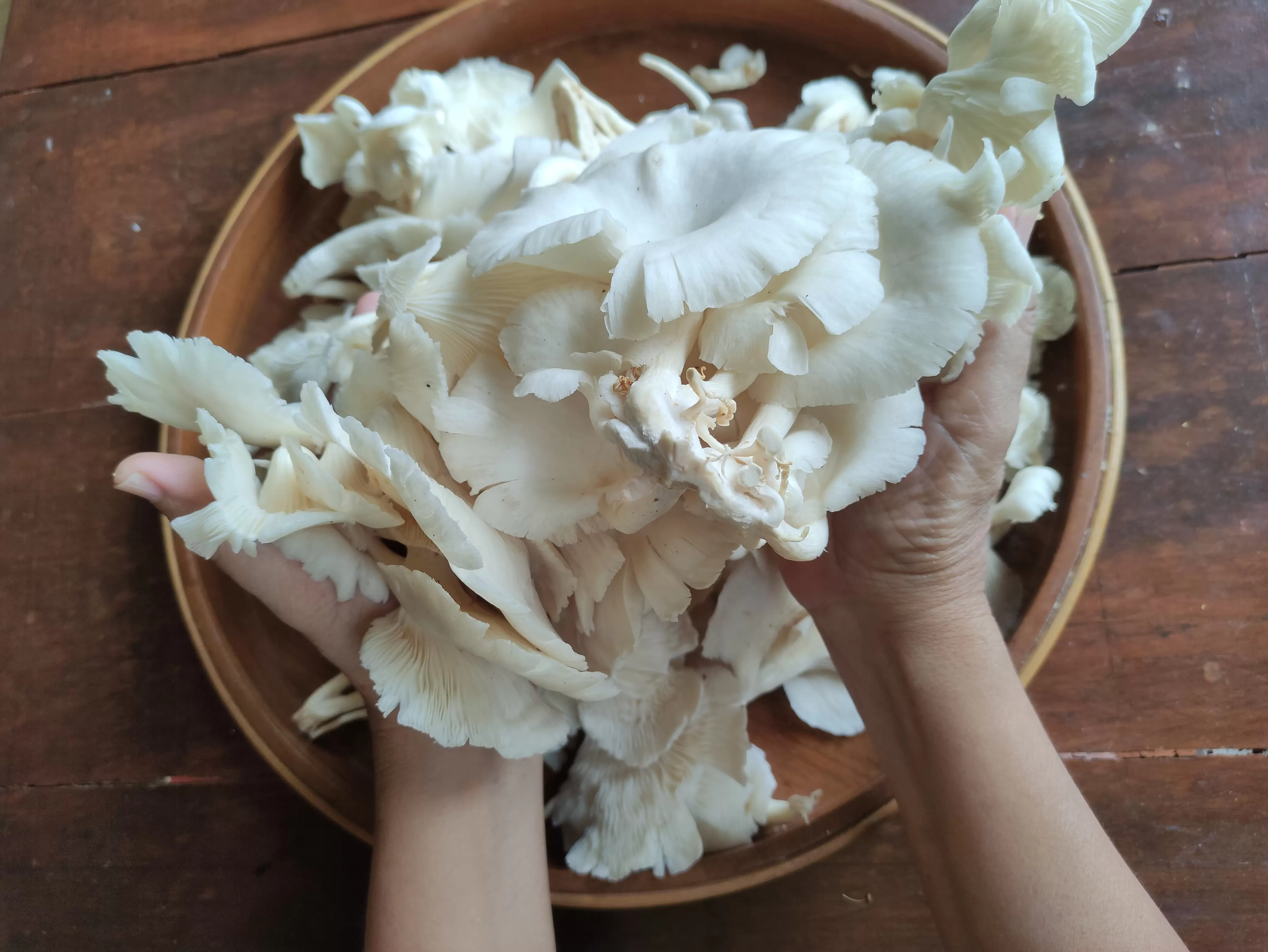 IDE BAHAN: Jamur bisa dipakai di segala resep