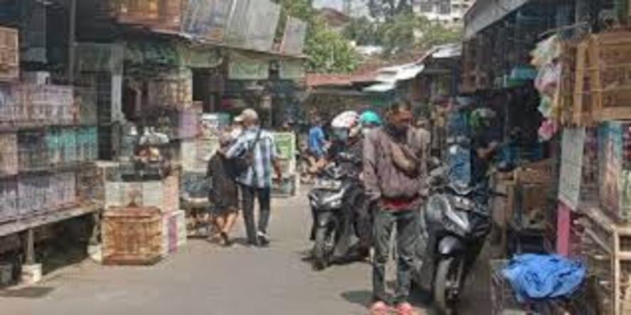 RAMAI: Pasar yang menjual beragam hewan dan tumbuhan