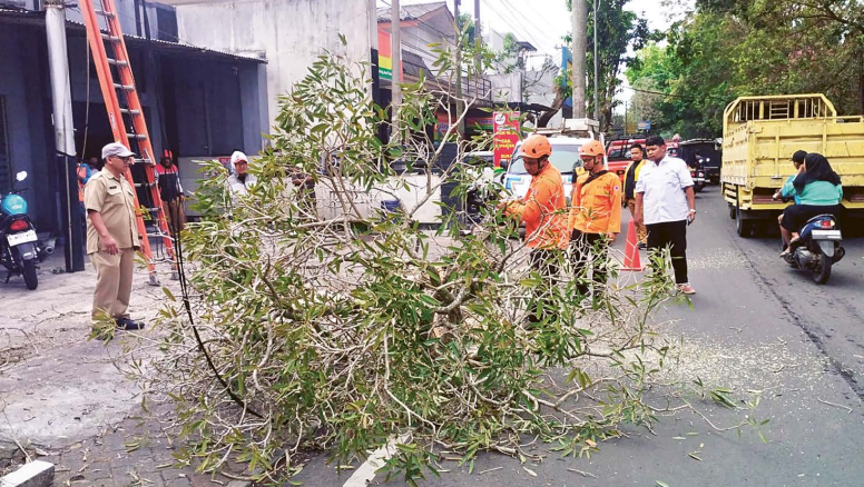 BENCANA: Pohon di Jalan Panji, Kecamatan Kepanjen ambruk setelah diterpa angin kencang pertengahan Juli lalu.
