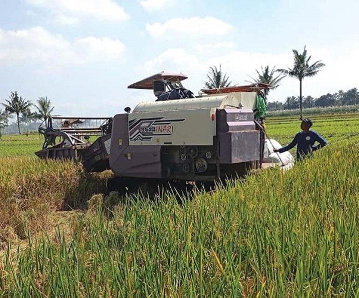 PRODUKSI MENINGKAT: Petani memanen padi di Desa Pandanmulyo, Kecamatan Tajinan beberapa waktu lalu. Kawasan tersebut menjadi salah satu lahan percontohan untuk ditanami padi menggunakan varietas unggu