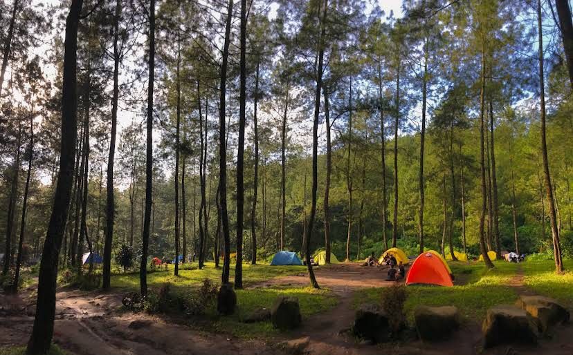 ASRI: Suasana perhutanan sangat cocok untuk berkemah.