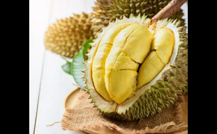 NIKMAT: Beberapa rekomendasi tempat makan durian yang bikin ketagihan&nbsp;di&nbsp;Malang