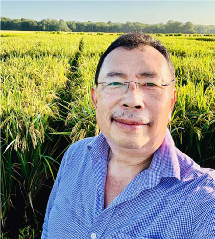 VARIETAS UNGGUL: Prof Herry berada di lahan pembibitan Cahokia Rice, Louisiana, Amerika Serikat.