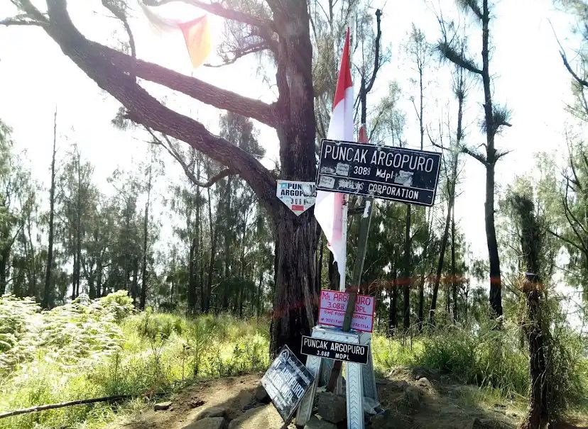 Gunung Argopuro di perbatasan Probolinggo&ndash;Bondowoso menjadi destinasi favorit baru bagi pendaki asal Malang, terutama saat beberapa jalur gunung lain ditutup menjelang 17 Agustus.