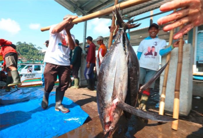 MUSIM IKAN: Nelayan mengangkut ikan tuna besar di Tempat Pelelangan Ikan (TPI) Pondokdadap, Sendangbiru, Desa Tambakrejo, Kecamatan Sumbermanjing Wetan.