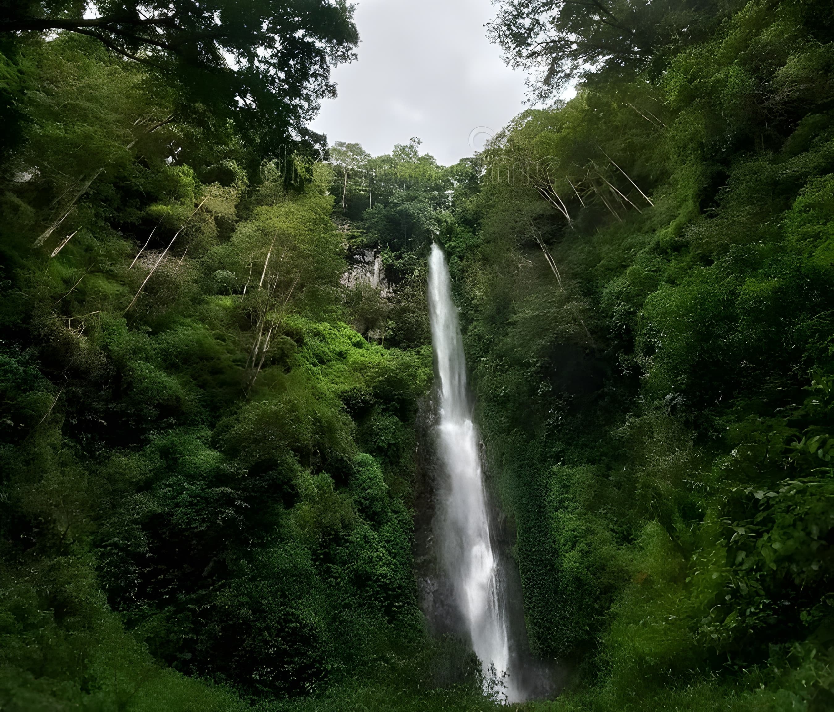 MEMUKAU: Deretan air terjun di Malang ini tawarkan panorama indah, udara segar, dan suasana yang bikin betah berlama-lama