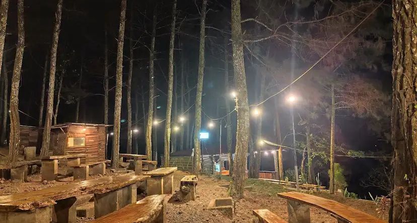 Suasana ngopi di tengah hutan dengan udara sejuk dan pemandangan hijau di salah satu kafe hits Kediri yang jadi favorit pencinta foto Instagramable.