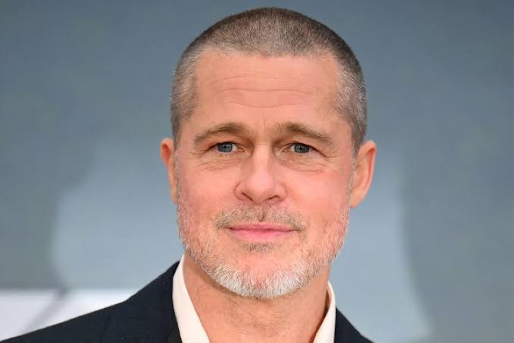 BRAD PITT: Rumah Brad Pitt di LA dirampok!