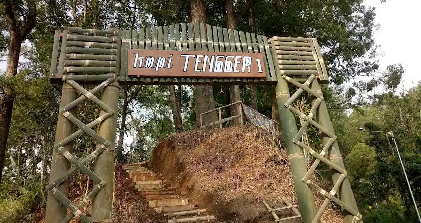 Secangkir kopi Tengger hangat khas lereng Semeru, teman ideal menikmati udara dingin pegunungan.