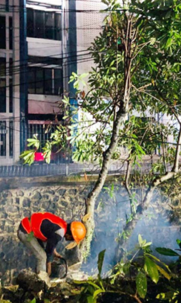 PERSIAPAN AKHIR: Pemotongan pohon di jalur pembangunan drainase Jalan Soekarno-Hatta (Soehat) dilakukan Kamis malam (21/8). Proses itu sudah dimulai sejak Senin lalu (18/8).