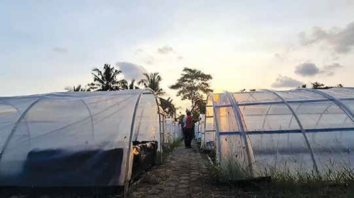 SEPI AKTIVITAS: Kondisi Eduwisata Paduka Ganessa yang tak terurus karena pipa rusak kemarin.