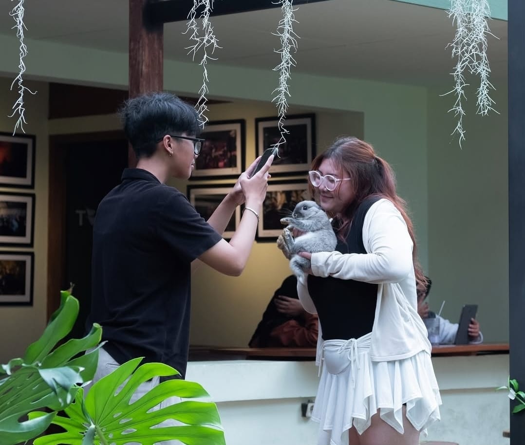 Bermain bersama kelinci di Sektor.316
