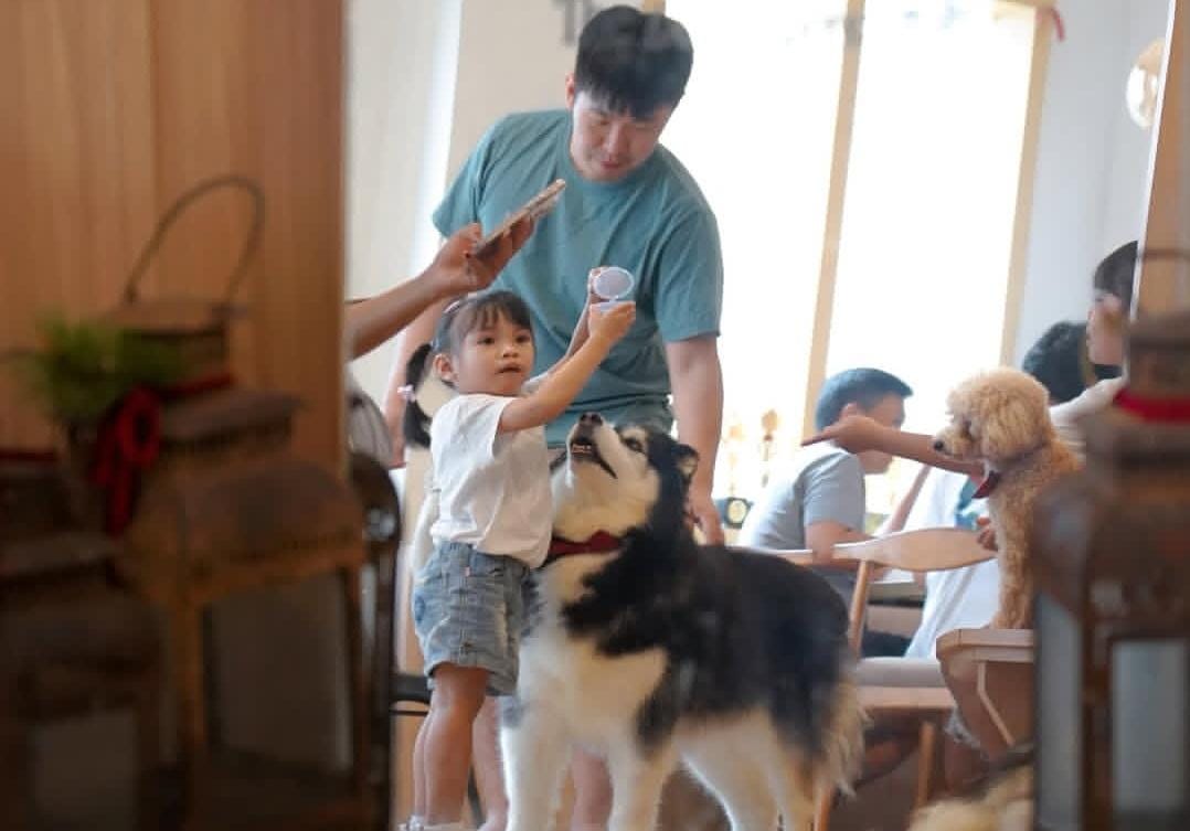 Berkunjung di Pawvilion Dog Cafe