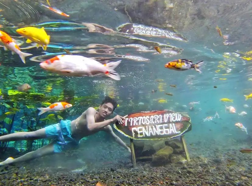 Kolam renang alami di Lumajang, jadi destinasi favorit untuk melepas penat dan menyegarkan tubuh.