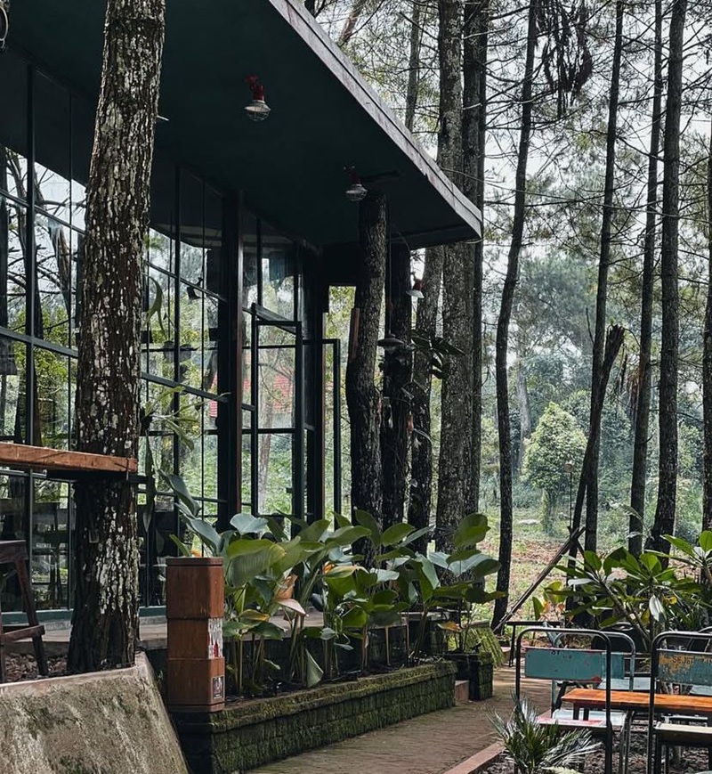 Cafe Hidden Gem Batu yang Sejuk
