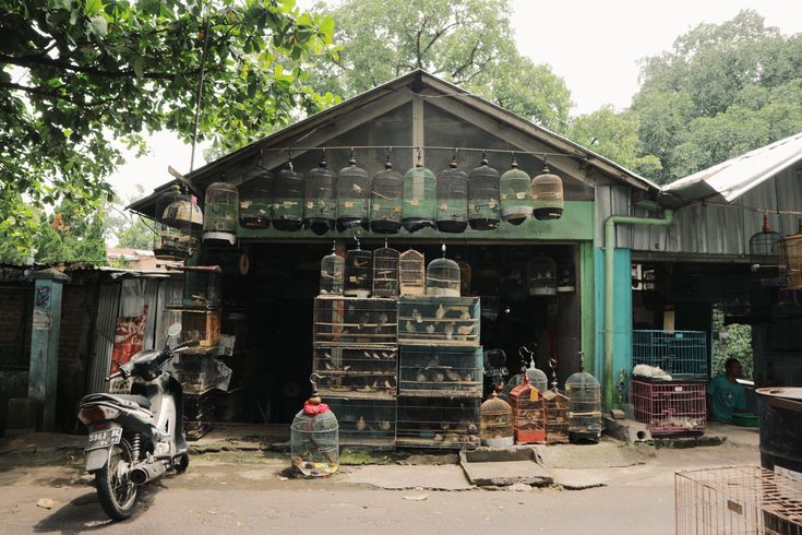 MENARIK: Inilah Spot Pecinta Hewan di Malang yang Ramai Pengujung