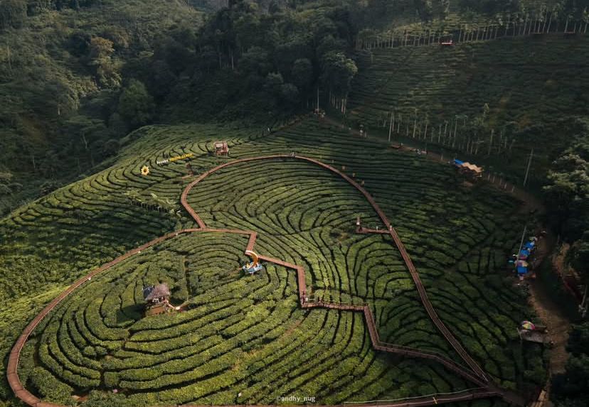 WISATA ALAM: 4 Rekomendasi Wisata Alam Jember, Surga Tersembunyi dan Jadi Destinasi Favorit yang Bikin Rindu Kembali