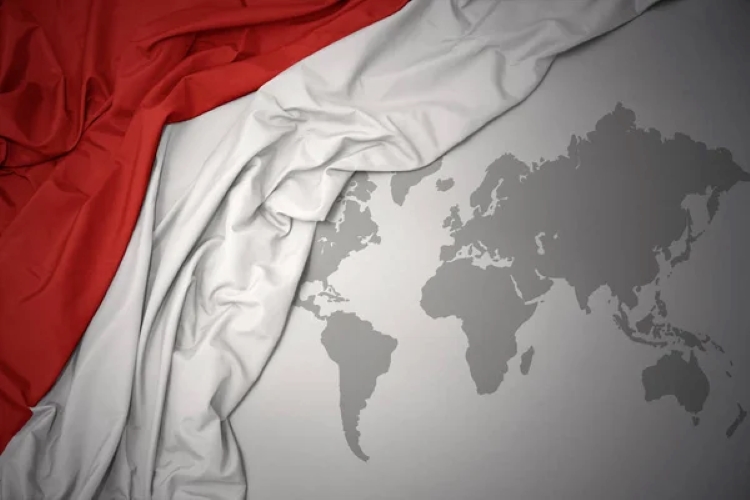 TATANAN DUNIA: Indonesia Berperan dalam membentuk Tatanan Dunia