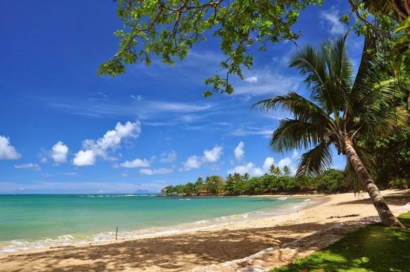 Ilustrasi Pantai