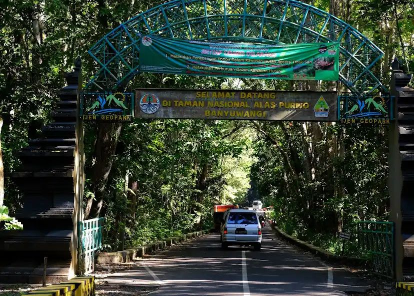Alas Purwo dikenal sebagai hutan angker sekaligus sakral, menyimpan banyak mitos yang masih dipercaya hingga kini.