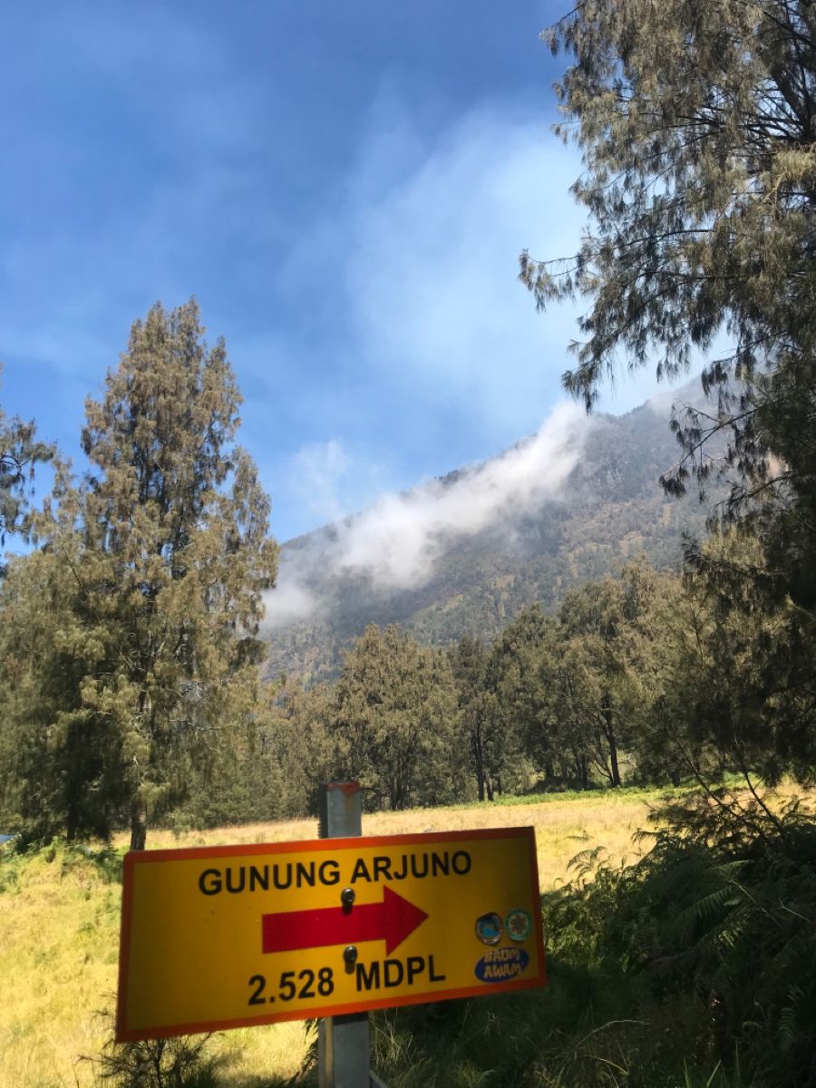 MENAKJUBKAN: Keindahan Sabana Gunung Arjuno
