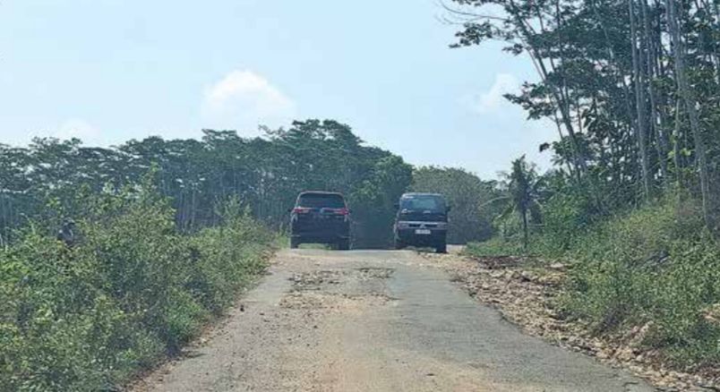 INFRASTRUKTUR: Kendaraan melintasi jalur Gondanglegi-Balekambang yang belum dilebarkan lantaran sebagian lahan belum dibebaskan.