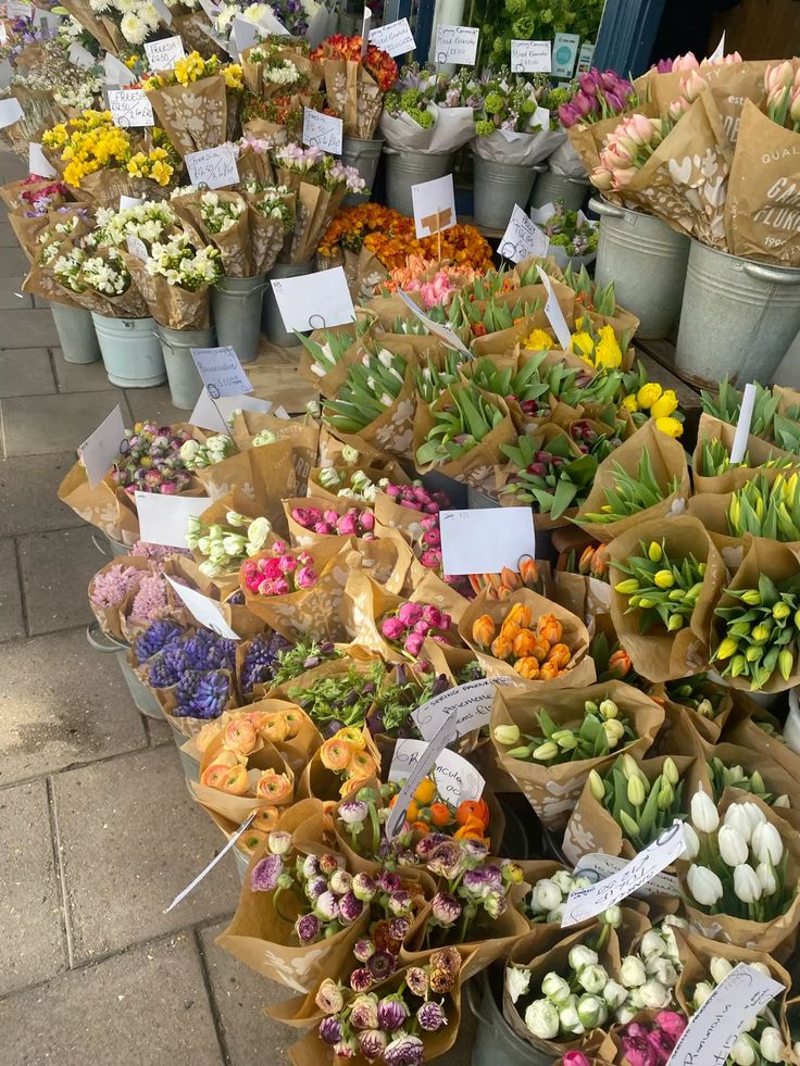 Ilustrasi florist di Malang