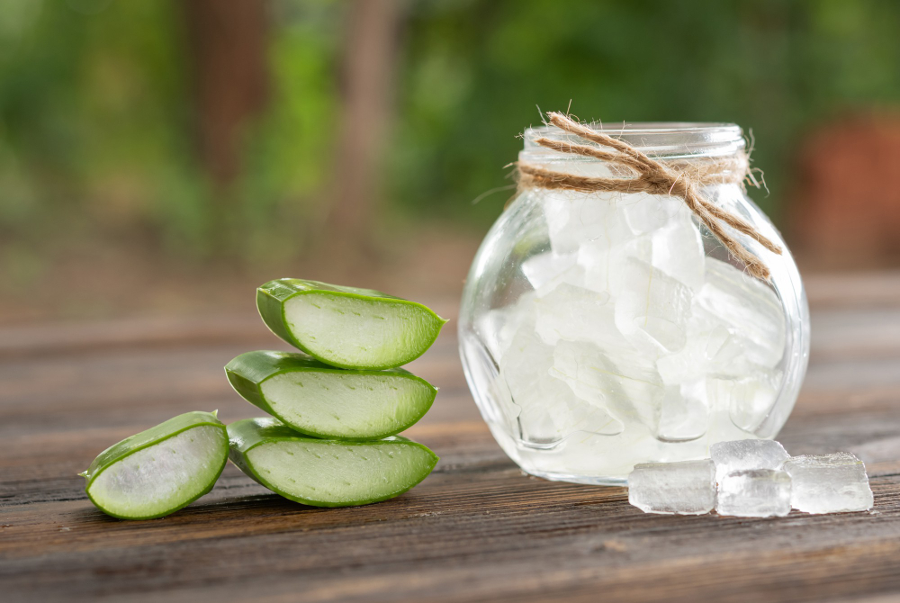 KAYA MANFAAT: Lidah buaya atau Aloe vera sudah dikenal sejak lama sebagai tanaman herbal yang kaya manfaat.