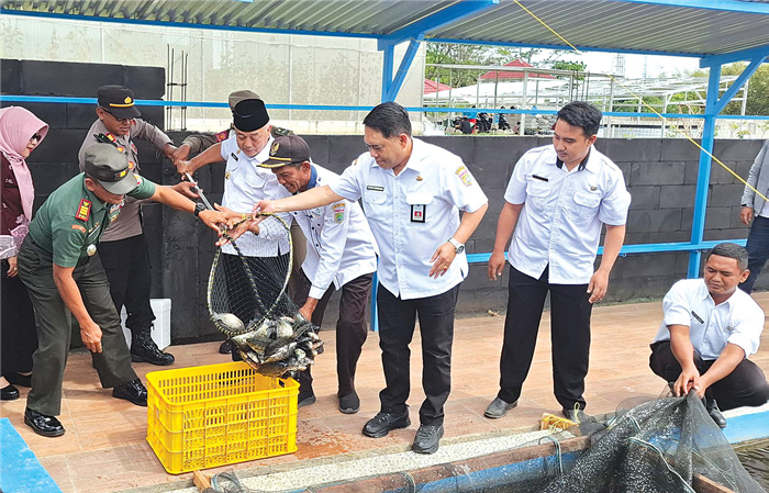 HASIL MELIMPAH: Bupati HM. Sanusi bersama jajaran Forkopimda memanen ikan nila di Kolam Mulyo Dadi, Desa Mulyoarjo, Kecamatan Lawang, kemarin (10/9).