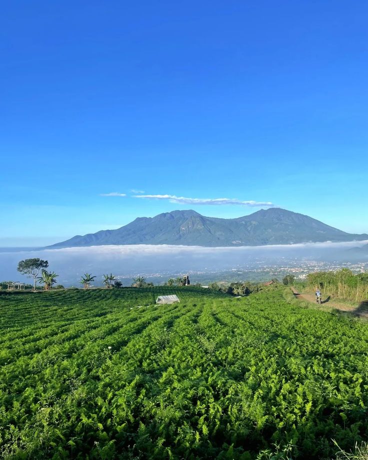 BUTUH HEALING: Cara Anak Kos Liburan Tanpa Banyak Modal, cocok untuk mahasiswa di Malang