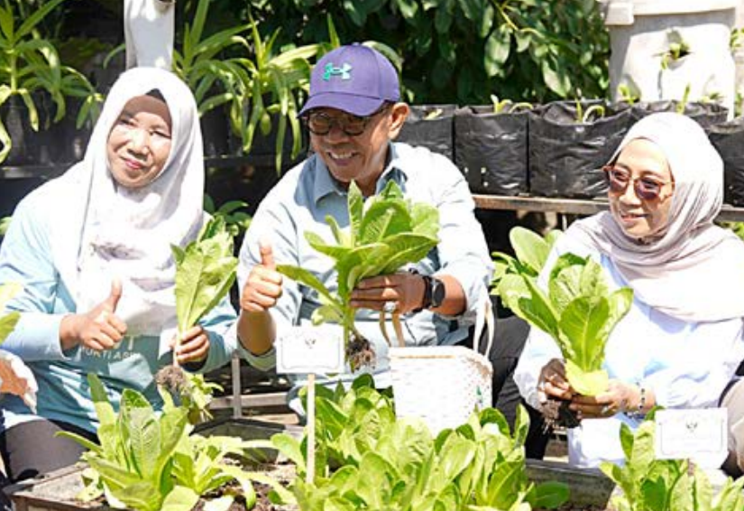 LEBIH MENYEHATKAN: Wali Kota Batu Nurochman (tengah) ambil bagian dalam panen sayuran organik di Dusun Kajang, Desa Mojorejo, Kecamatan Junrejo, kemarin.