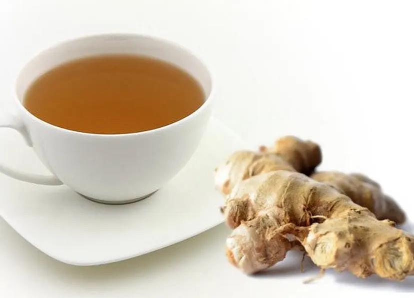 Ingin hidup sehat dengan cara alami? Simak 10 tanaman jamu yang bisa ditanam di rumah, praktis jadi alternatif herbal untuk warga Malang.