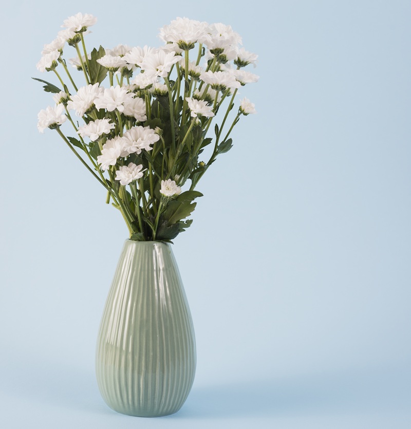 SEGAR: Ini Tips Agar Bunga Tidak Mudah Layu