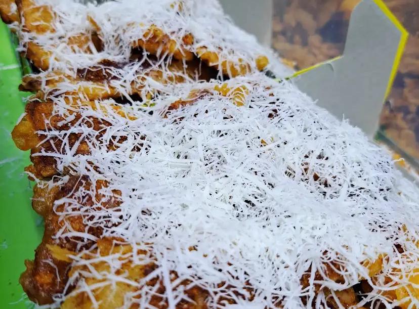Klojen punya camilan malam andalan: pisang bakar. Manisnya topping berpadu dengan hangatnya pisang, jadi favorit warga Malang.