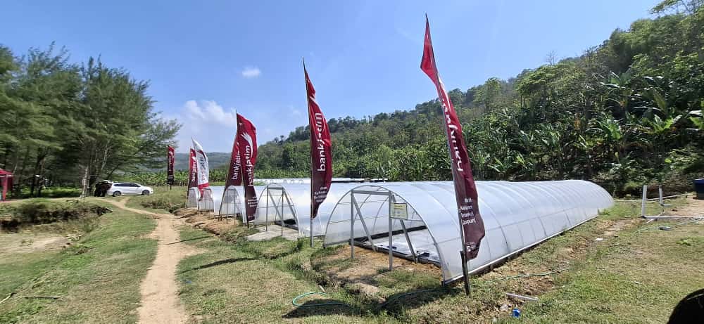 BERMANFAAT: Total produksi garam tunnel di Malang telah mencapai sekitar 25 ton.