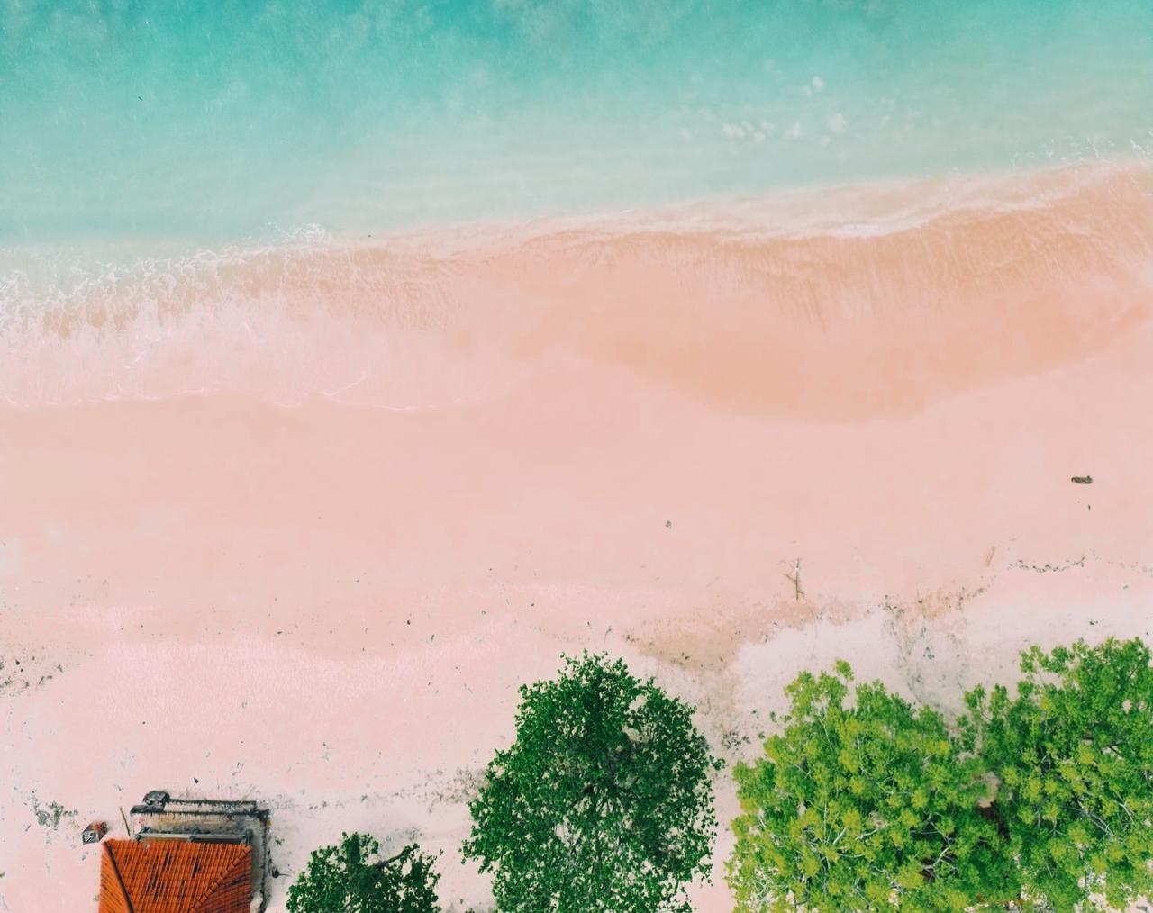 INDAH UNIK: Pemandangan pantai pink di Pulau Lombok dengan pasir pink