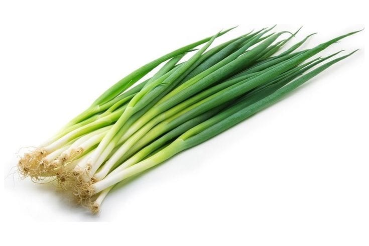Ilustrasi olahan daun bawang