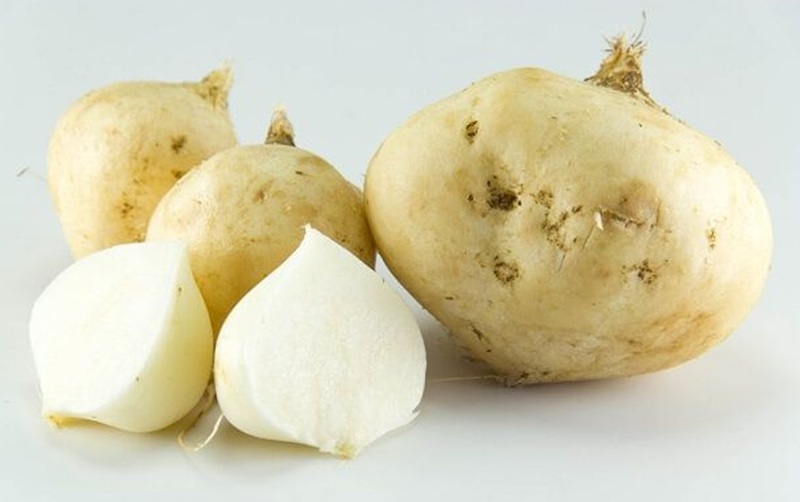 Buah bengkuang sebagai manfaat untuk kecantikan alami