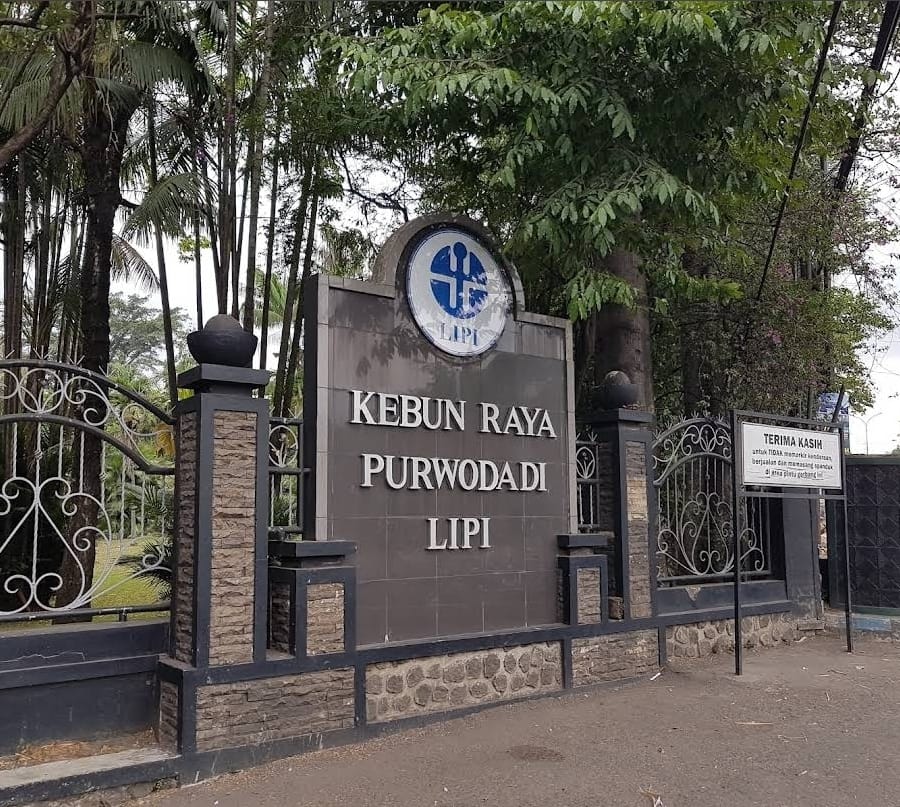 EDUKASI: Kebun Raya Purwodadi, wisata edukasi tanaman sekaligus tempat berlibur worth it di akhir pekan