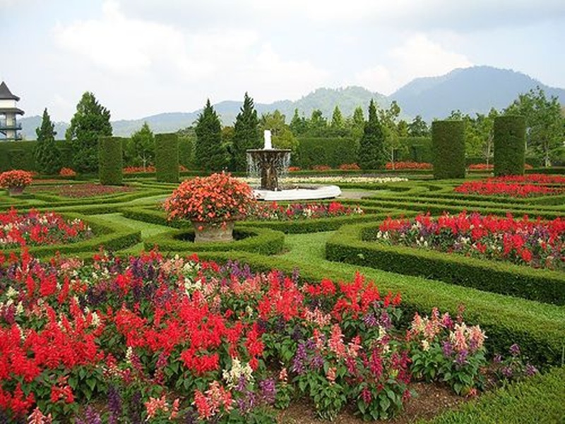 Ilustrasi taman