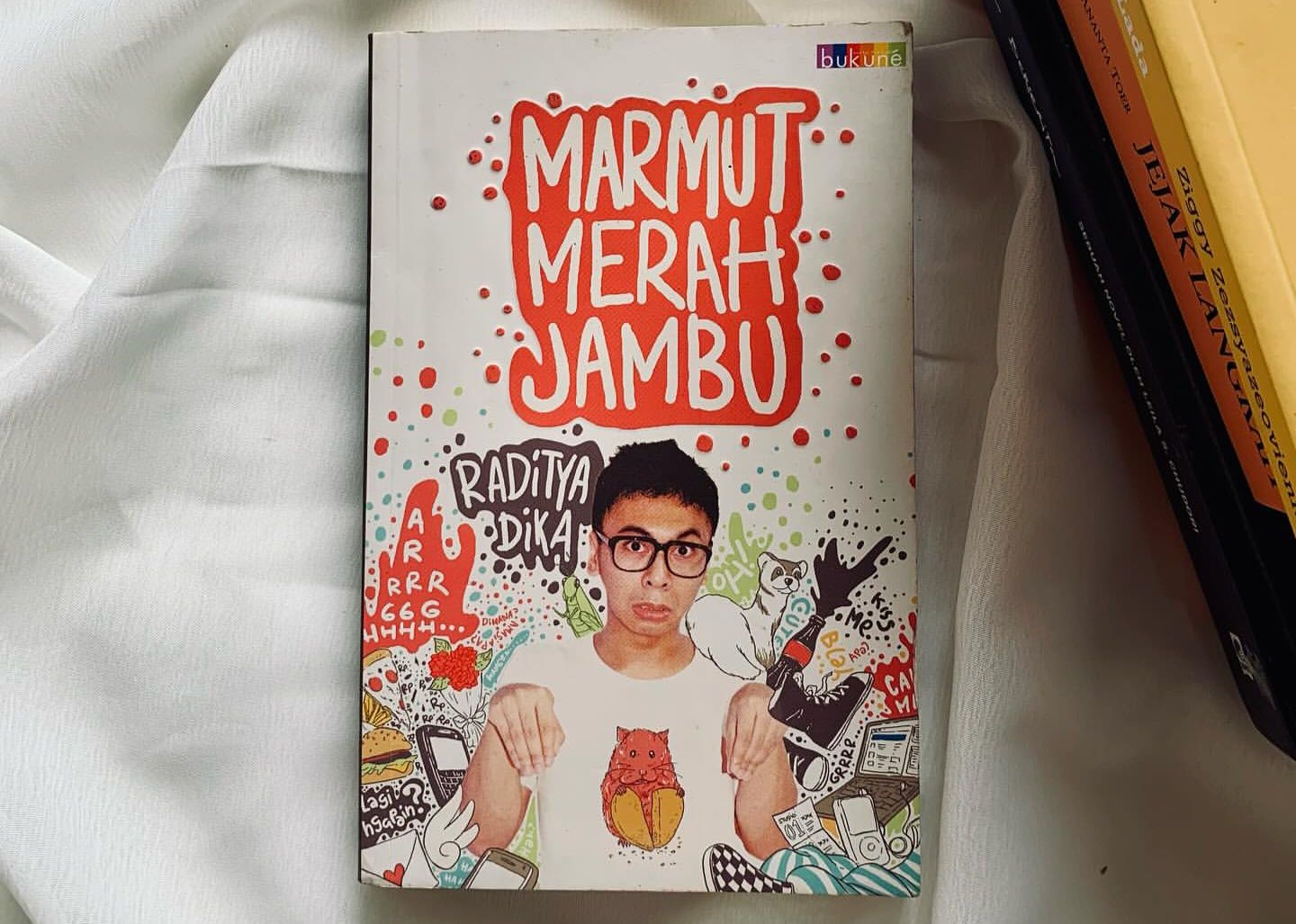 WAJIB BACA: Novel Marmut Merah Jambu, salah satu karya Raditya Dika