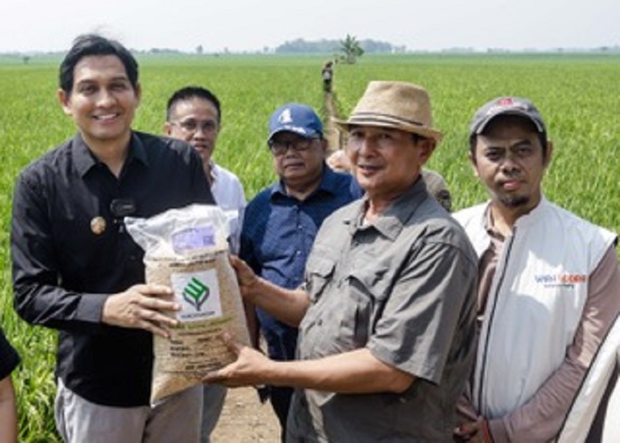 SERAHKAN BIBIT: Dari kiri, Bupati Indramayu Lucky Hakim, perwakilan TPP Joni Eko Saputro, Kadispertan Sugeng Heryanto, Ketua Gapoktan Taryono, dan Dirut PT BWI Robani Hendra Permana di Wanasari (27/9)