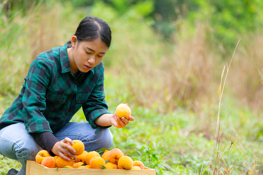 BELAJAR JADI SERU: Petik buah yang bisa dijadikan wisata sekaligus belajar